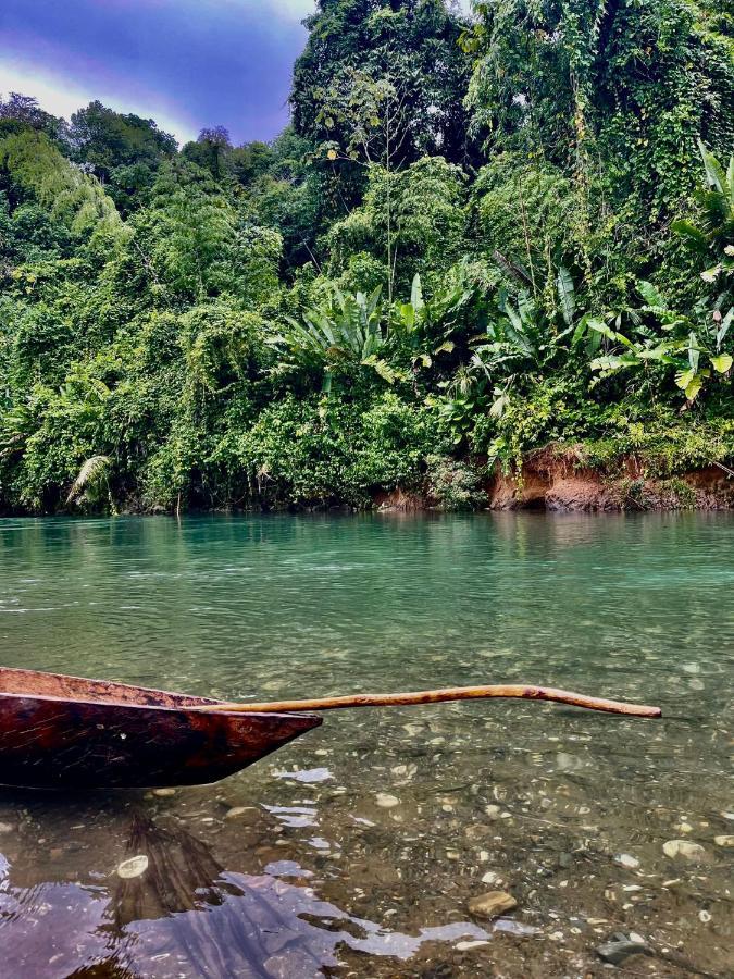 El retoño del negro gozon Nuquí Exterior foto